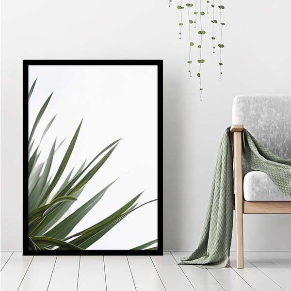 Aleo Yucca 2 Çerçeve ve Poster - YB1084