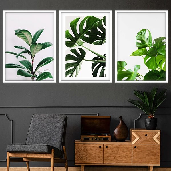 Monstera & Yaprak 3 Üçlü Çerçeve ve Poster Seti - YB1009