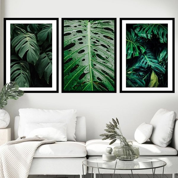 Monstera 1 Üçlü Çerçeve ve Poster Seti - YB1005