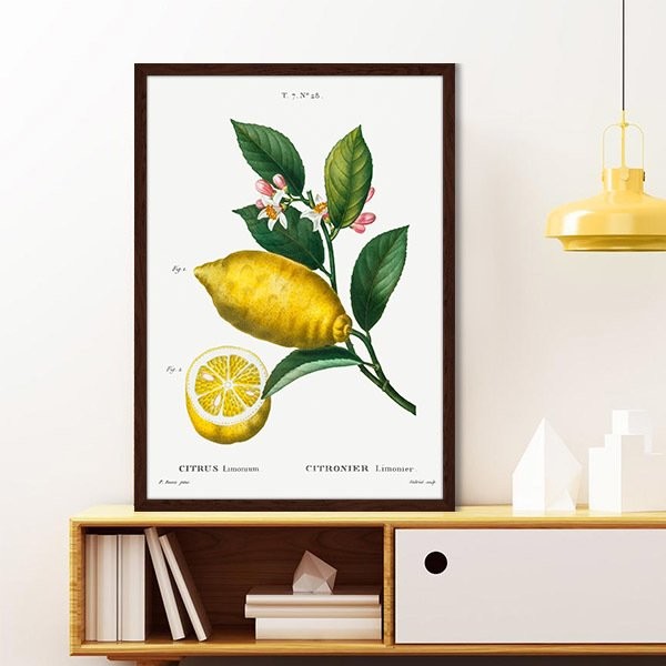 Limon 2 Çerçeve ve Poster - MT1073