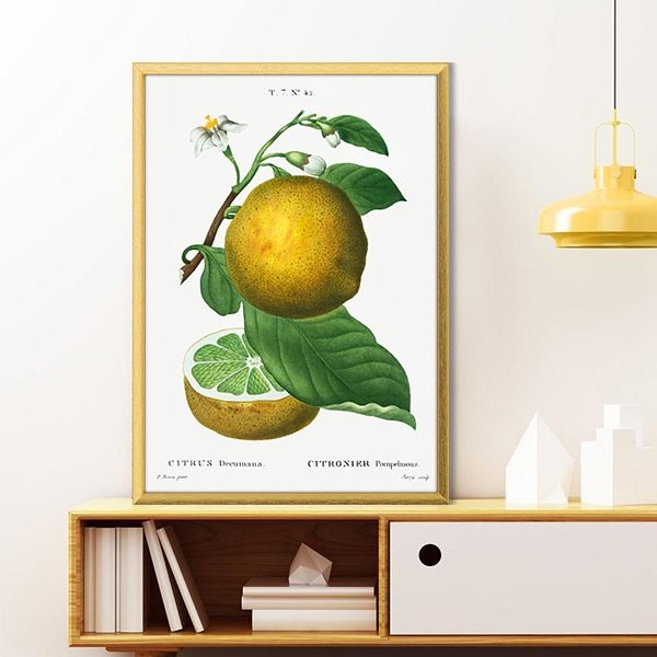 Limon 1 Çerçeve ve Poster - MT1072