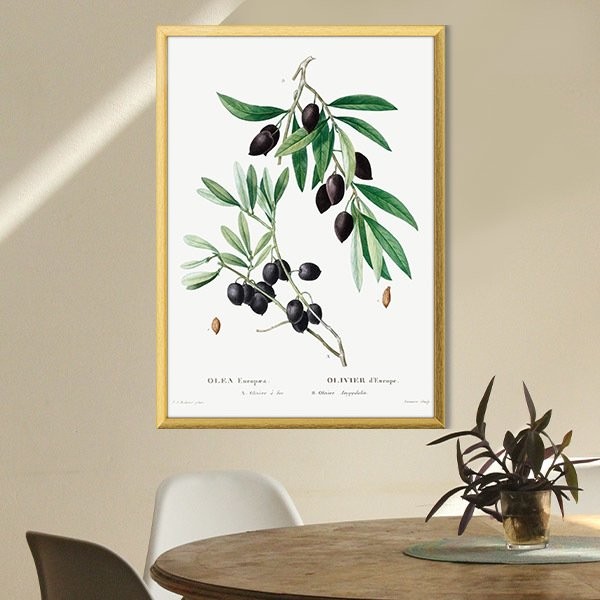 Zeytin Dalı 2 Çerçeve ve Poster - MT1075