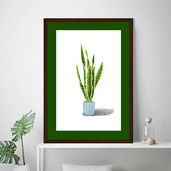 Kılıç Çiçeği 1 Çerçeve ve Poster - YB1066