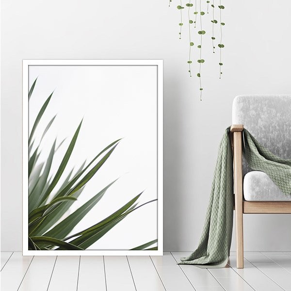 Aleo Yucca 2 Çerçeve ve Poster - YB1084