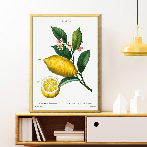 Limon 2 Çerçeve ve Poster - MT1073