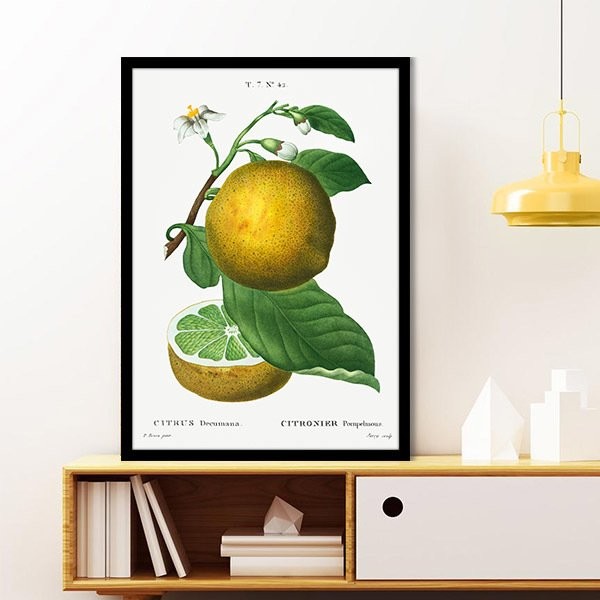 Limon 1 Çerçeve ve Poster - MT1072