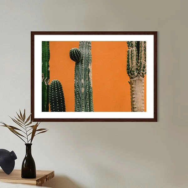 Kaktüs 6 Çerçeve ve Poster - YB1127