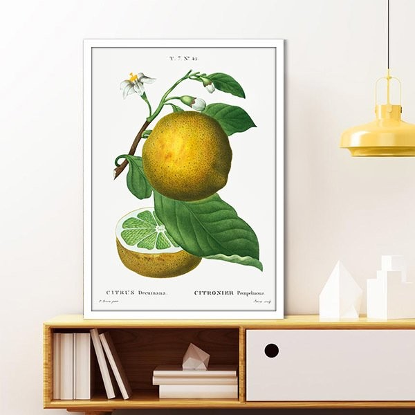 Limon 1 Çerçeve ve Poster - MT1072