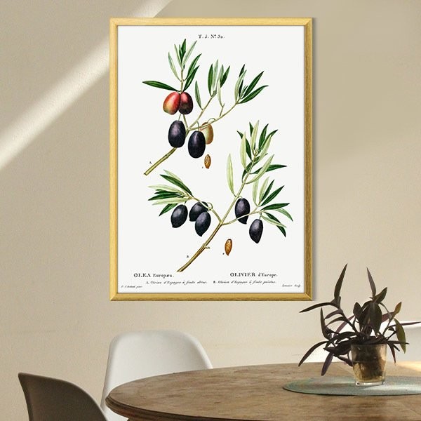 Zeytin Dalı 1 Çerçeve ve Poster - MT1074