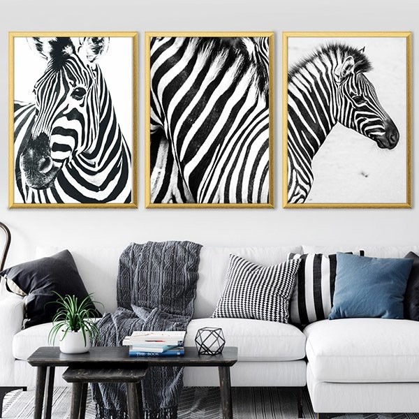 Zebra 1 Üçlü Çerçeve ve Poster Seti - H1001