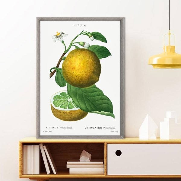 Limon 1 Çerçeve ve Poster - MT1072