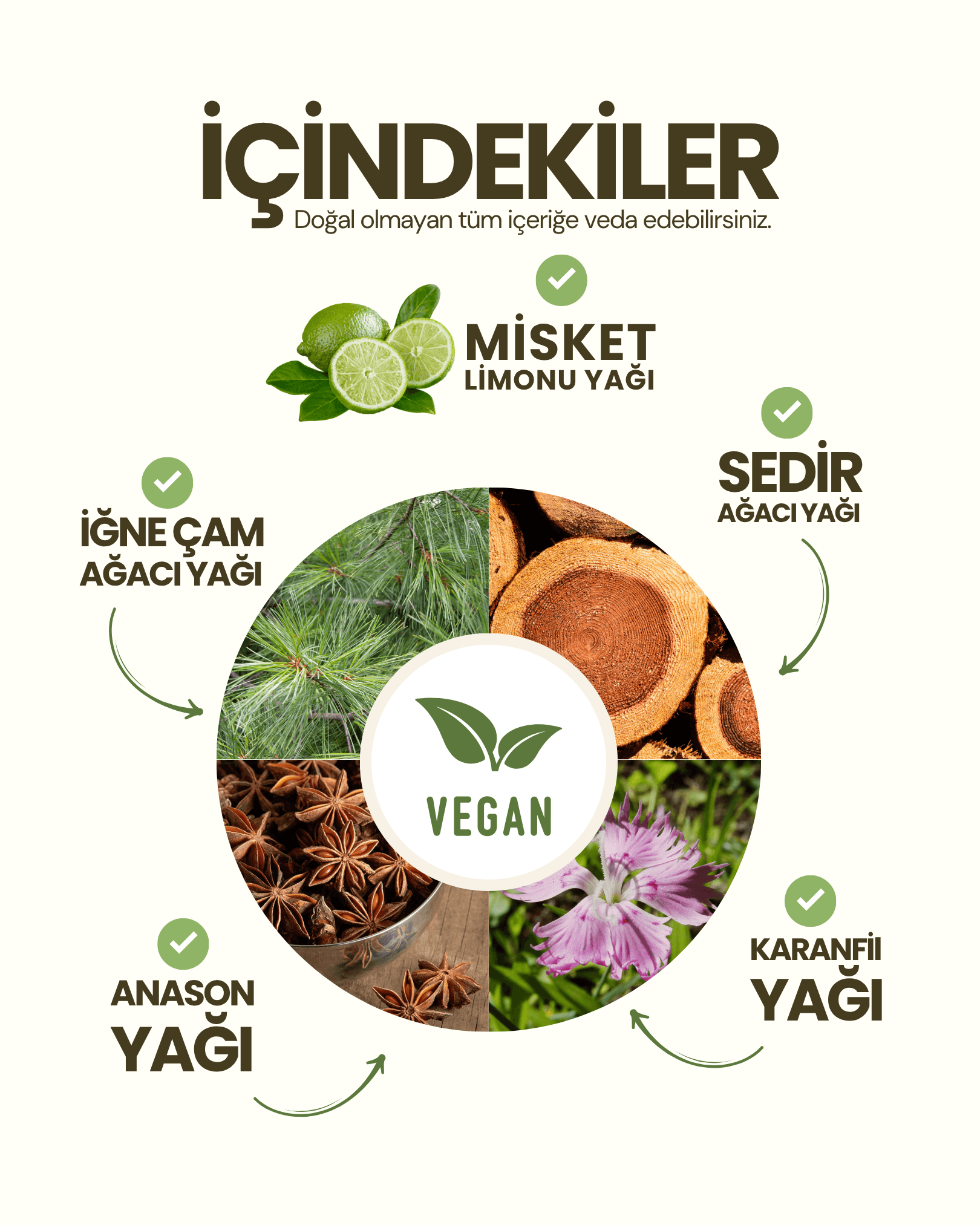 ODORGO Koku Giderici Set - 360 Temizlik