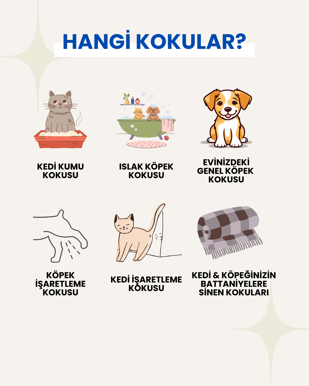 ODORGO PET Koku Yok Edici Sprey (250ml.)