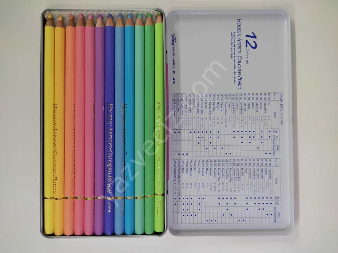 Holbein Profesyonel 12'li ( 903 ) Kuruboya Seti