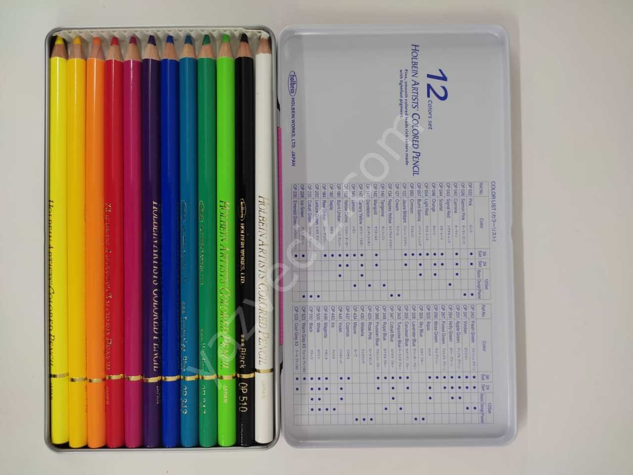 Holbein Profesyonel 12'li ( 902 ) Kuruboya Seti