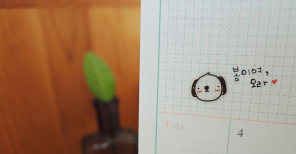 Kore Suatelier Sticker Çıkartma - 1018 just for you