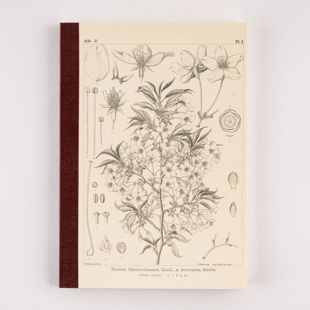 Hobonichi Yamazakura A5 Kareli Defter