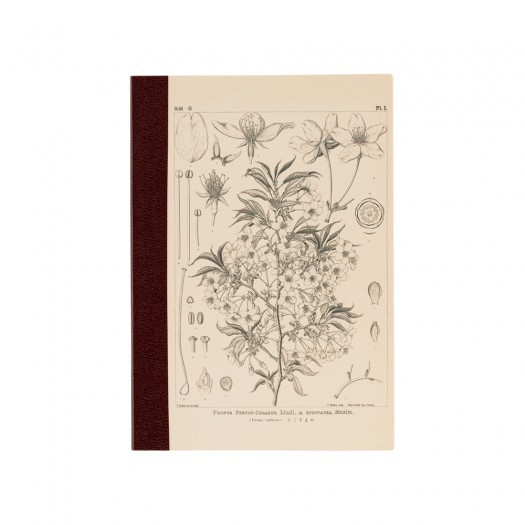 Hobonichi Yamazakura A6 Kareli Defter
