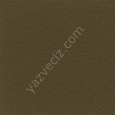 Holbein Profesyonel 300 ml A665 Seri D Raw Umber ( Ham Toprak Rengi  )  Gesso
