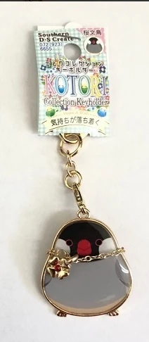  Southern D-S Create Charm - Papağan yavrusu