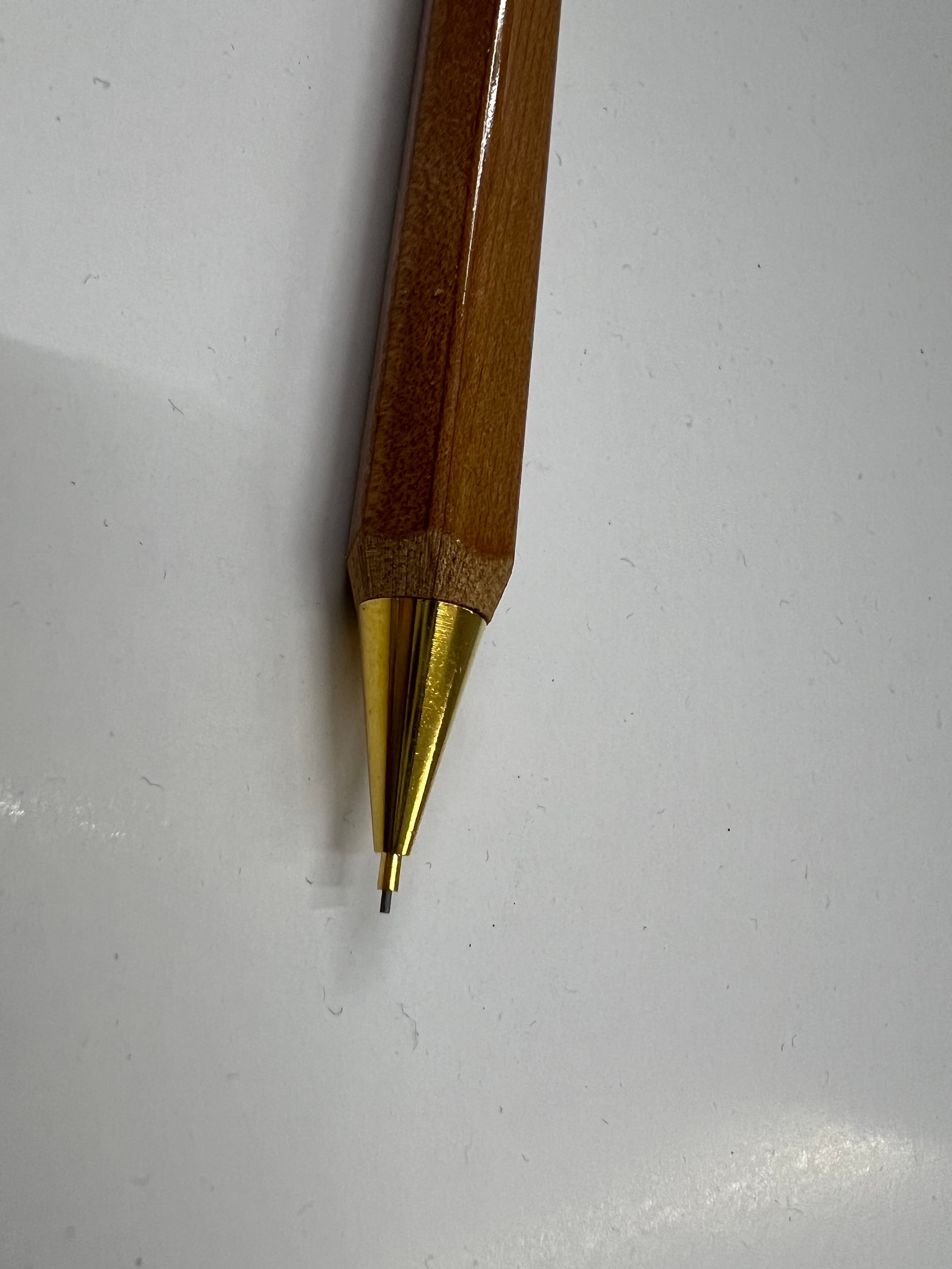 Japon Camel 300 0.5 mm Doğal Ahşap Versatil Kalem
