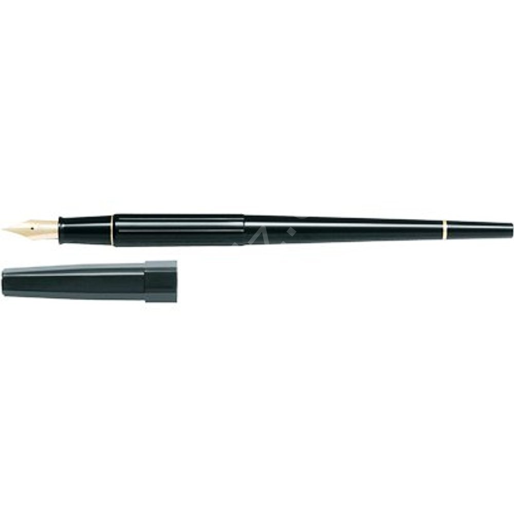 Pilot Fountain Pen Desk Pen F Uç Siyah Renk