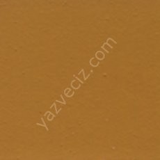 Holbein Artıst Guaj Boya 15 ml (G601) RAW SIENNA Seri A