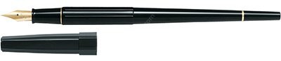 Pilot Fountain Pen Desk Pen M Uç Siyah Renk