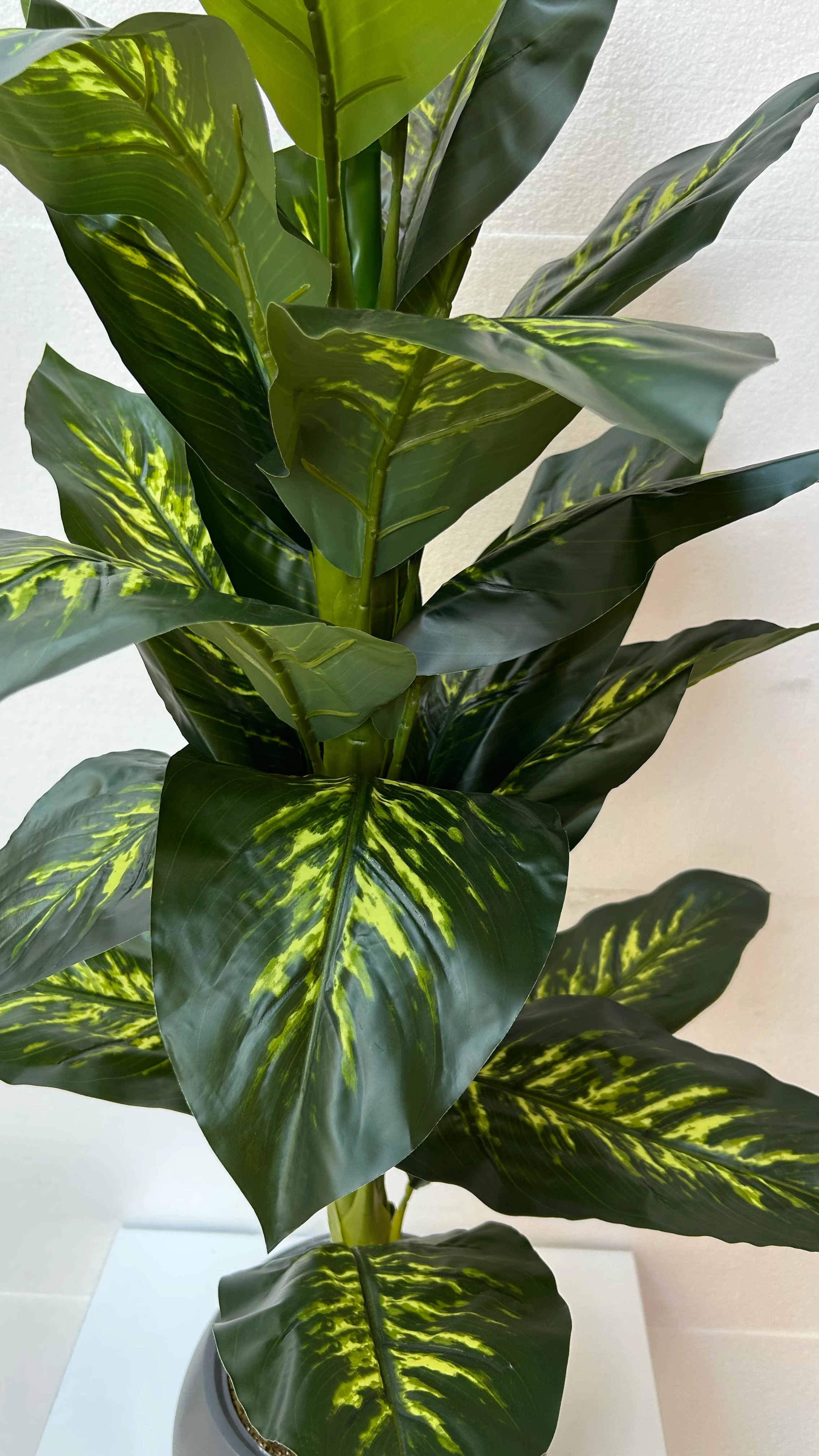 Yapay Ağaç Difenbahya 140cm