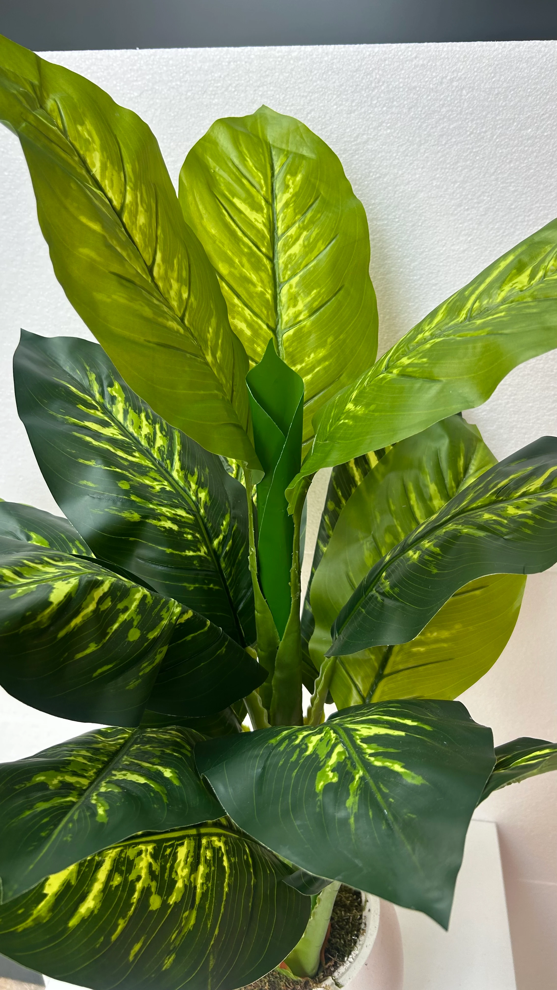 Yapay Ağaç Difenbahya 120cm 10 Yapraklı 3 Gövdeli