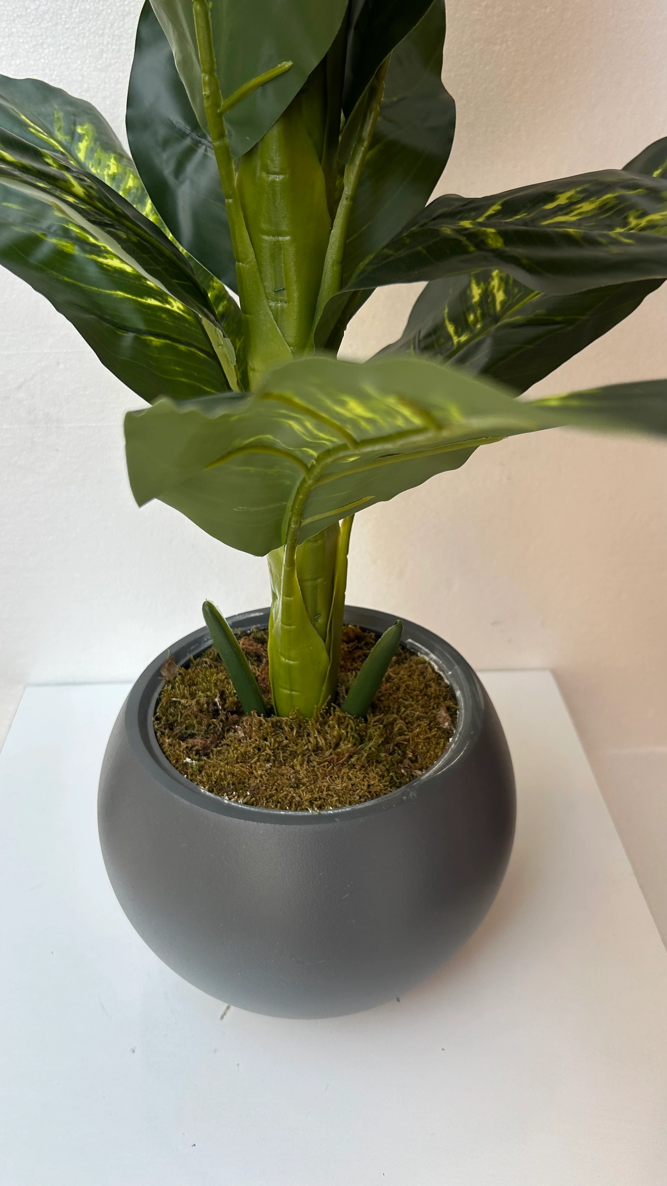 Yapay Ağaç Difenbahya 140cm