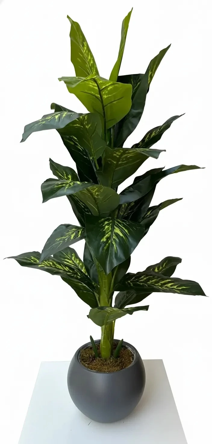 Yapay Ağaç Difenbahya 140cm Antrasit Fiber Saksılı