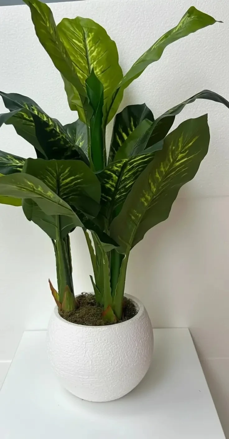 Yapay Ağaç Difenbahya 120cm 10 Yapraklı 3 Gövdeli