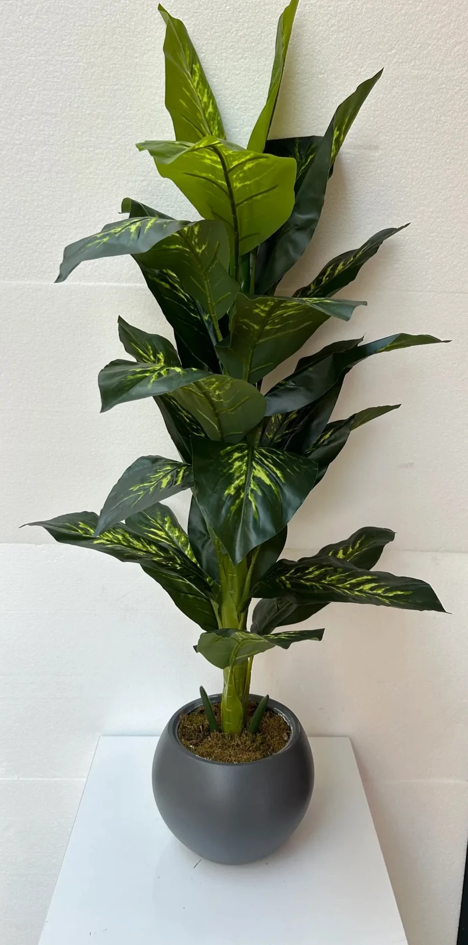 Yapay Ağaç Difenbahya 140cm