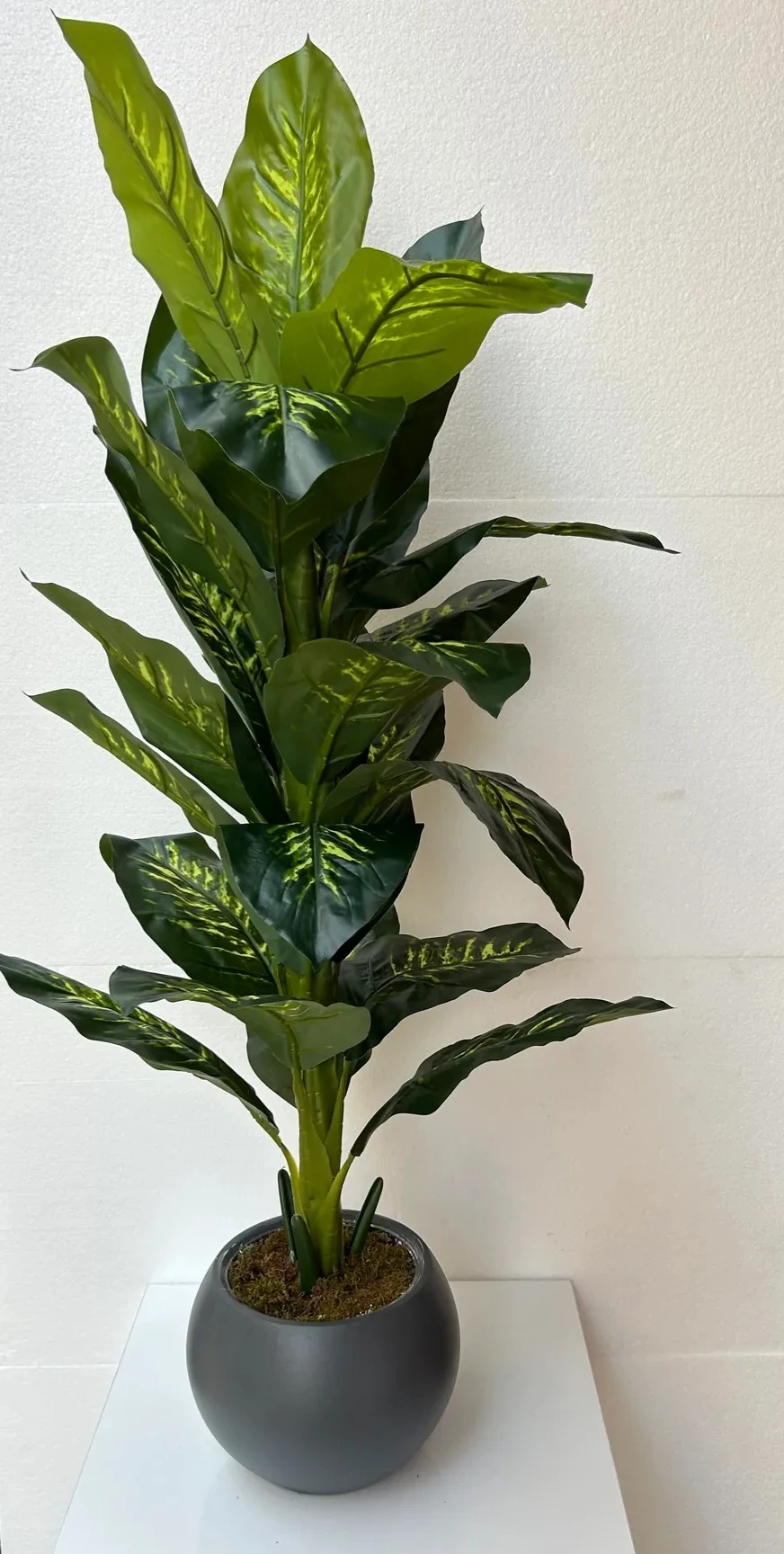 Yapay Ağaç Difenbahya 140cm