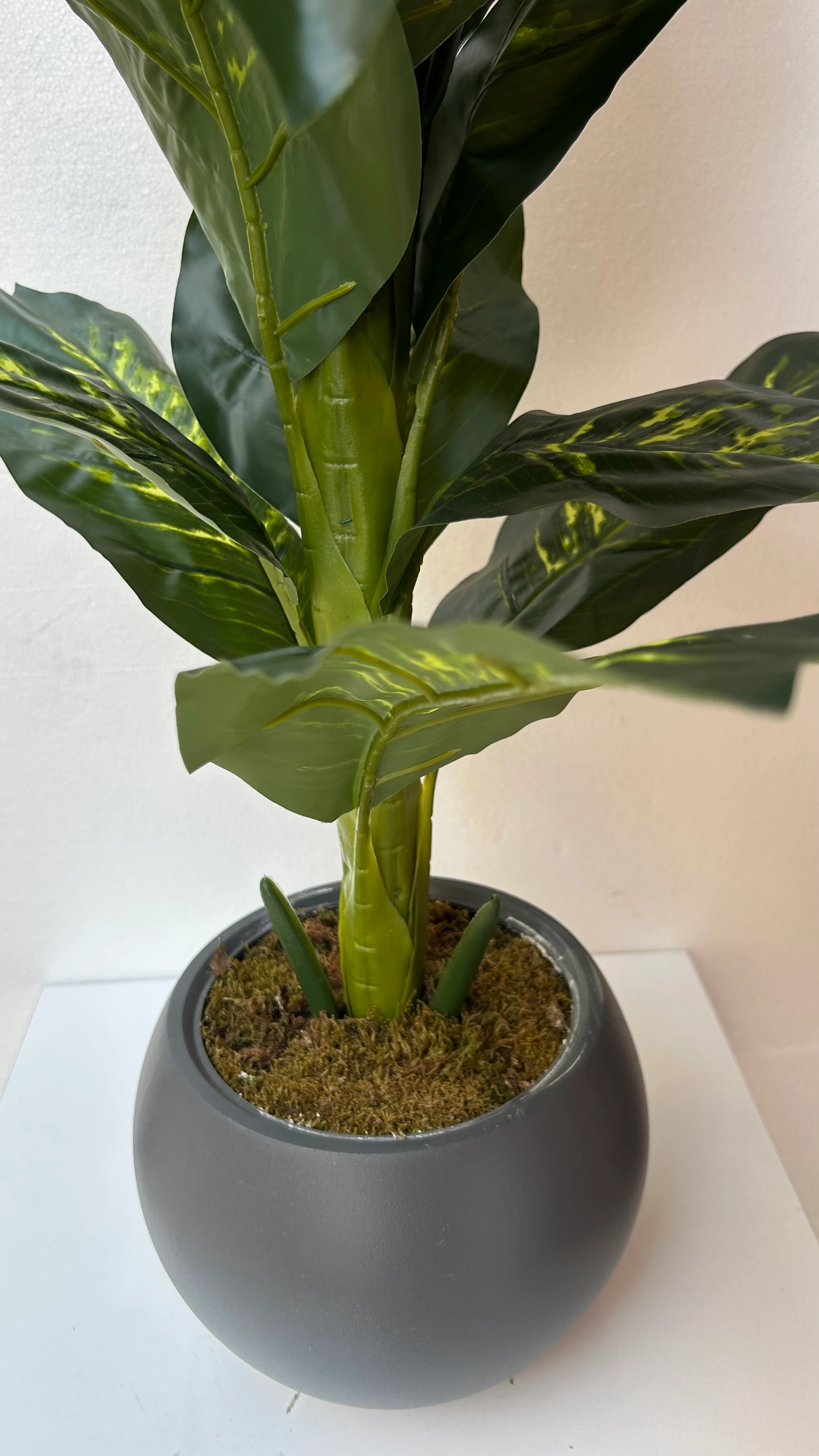 Yapay Ağaç Difenbahya 140cm