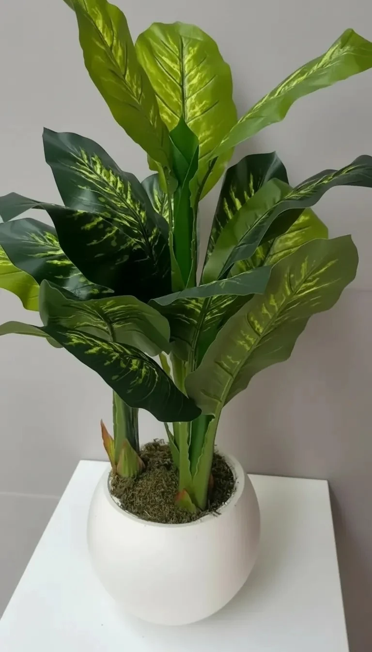 Yapay Ağaç Difenbahya 120cm 10 Yapraklı 3 Gövdeli Beyaz Fiber Saksılı