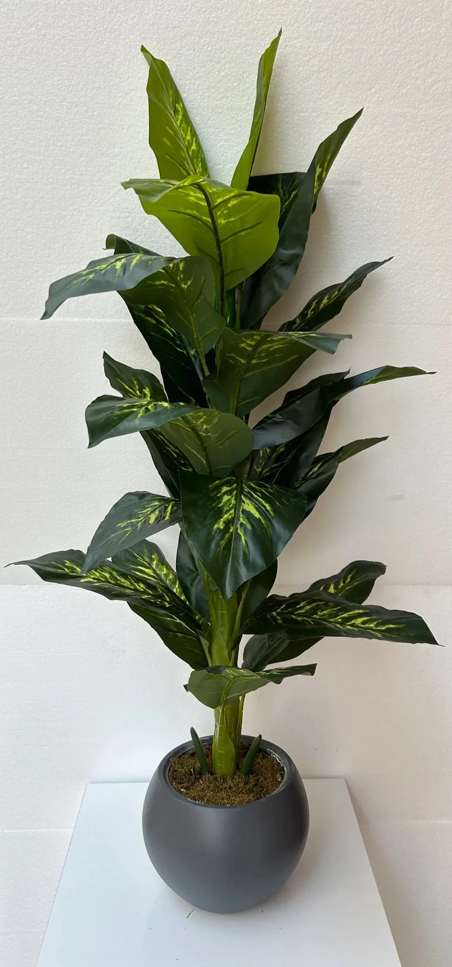 Yapay Ağaç Difenbahya 140cm