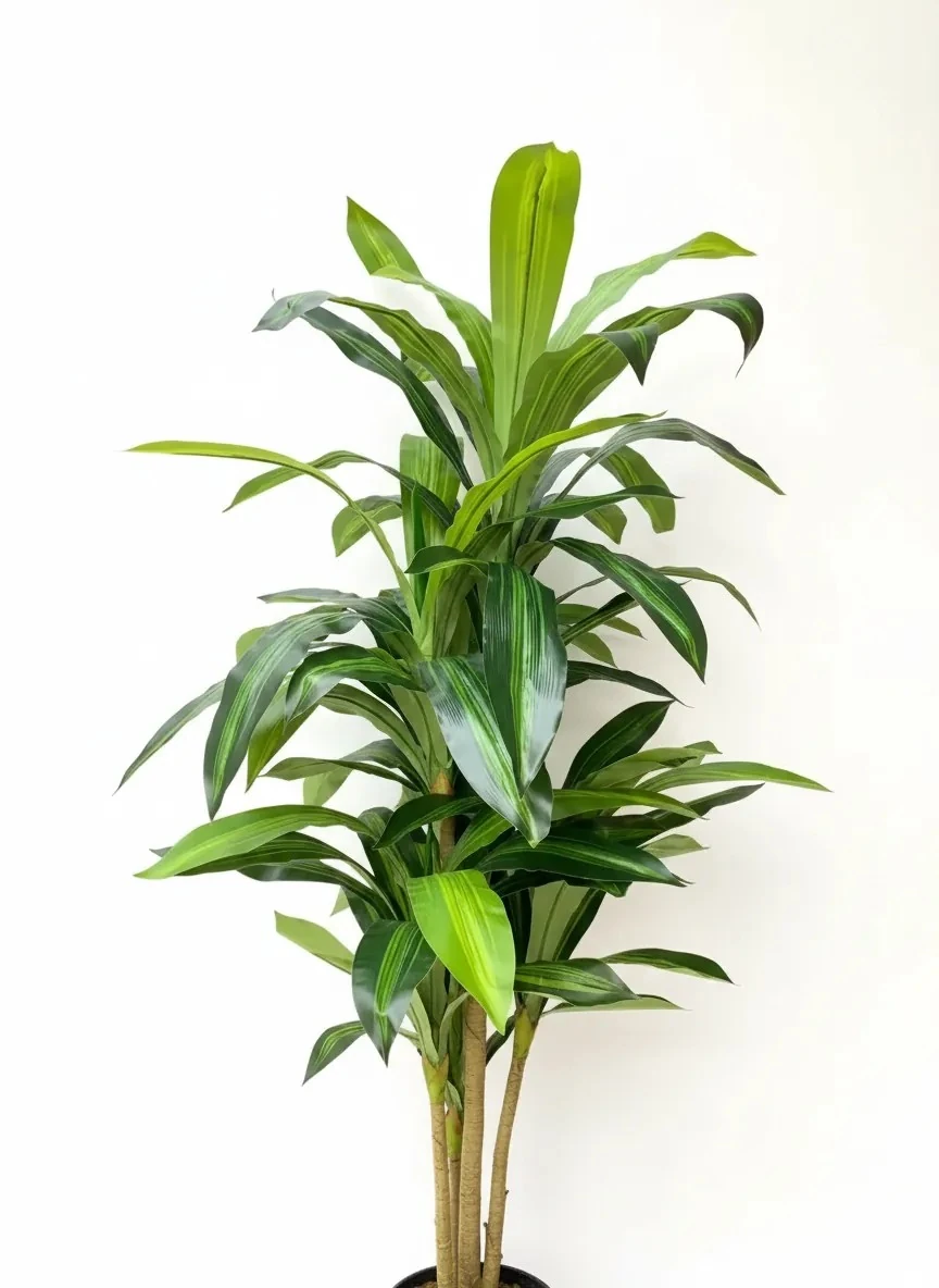 Yapay Drecana Ağacı Antrat Fiber Saksıda 180Cm 75 Yaparakl