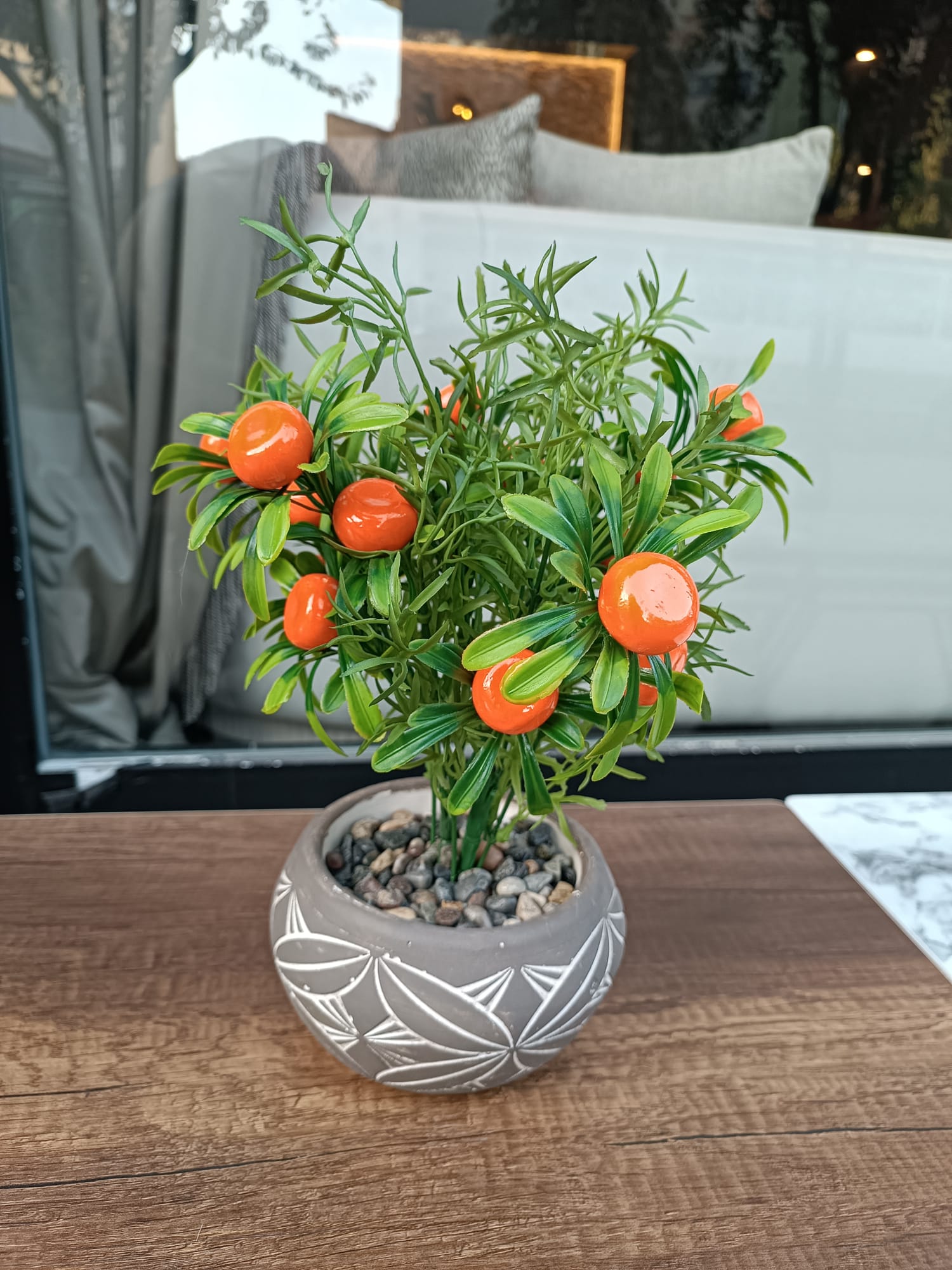 Saksıda Portakal Çiçeği