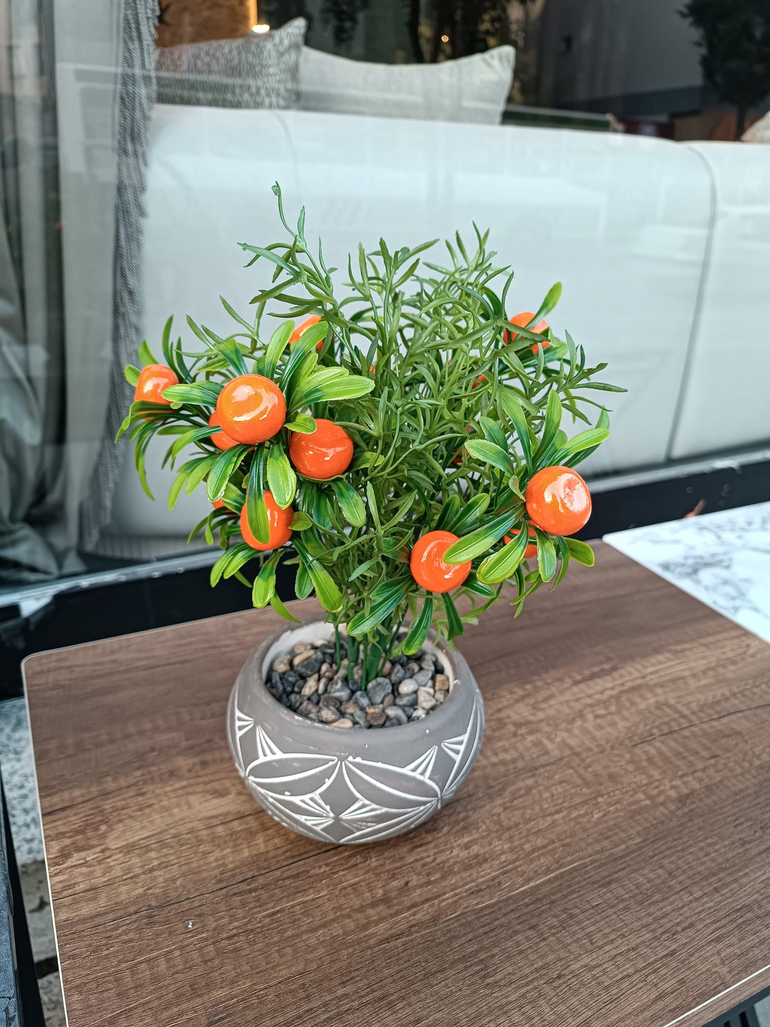 Saksıda Portakal Çiçeği