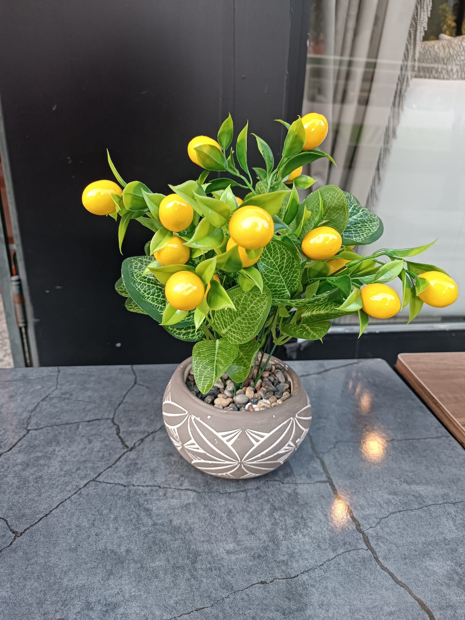 Saksıda Limon Çiçeği