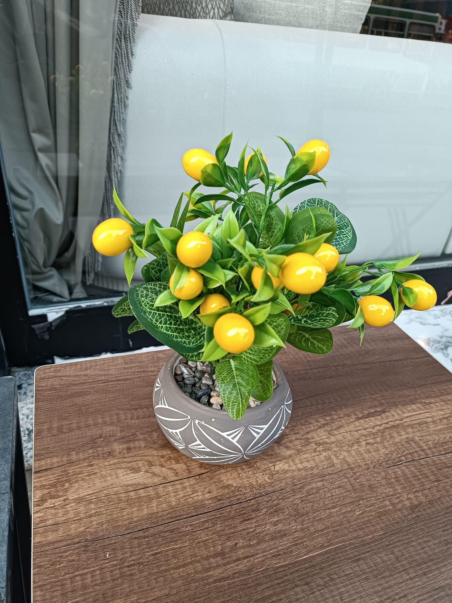 Saksıda Limon Çiçeği