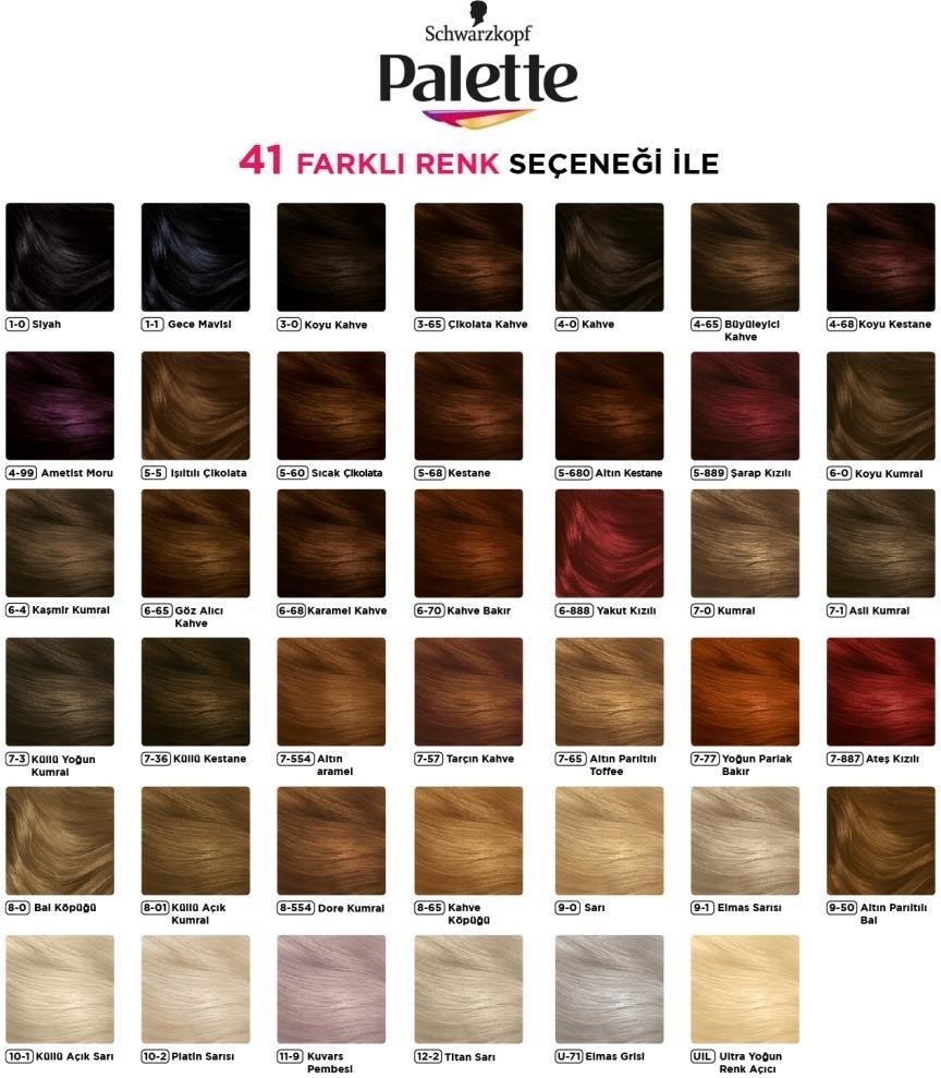 Palette Deluxe U71 Elmas Grisi Saç Boyası