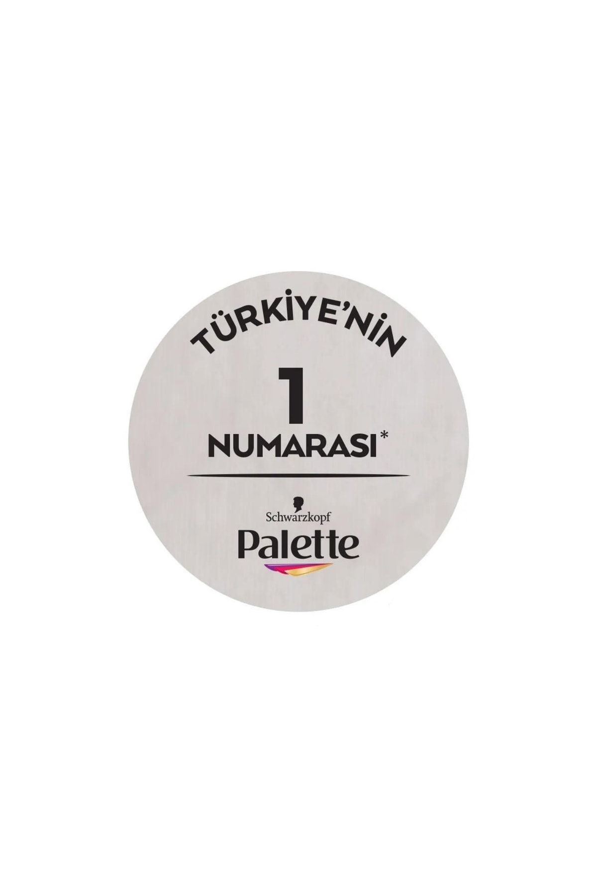  Palette Göz Alıcı Renkler Siyah 1-0 Saç Boyası X10