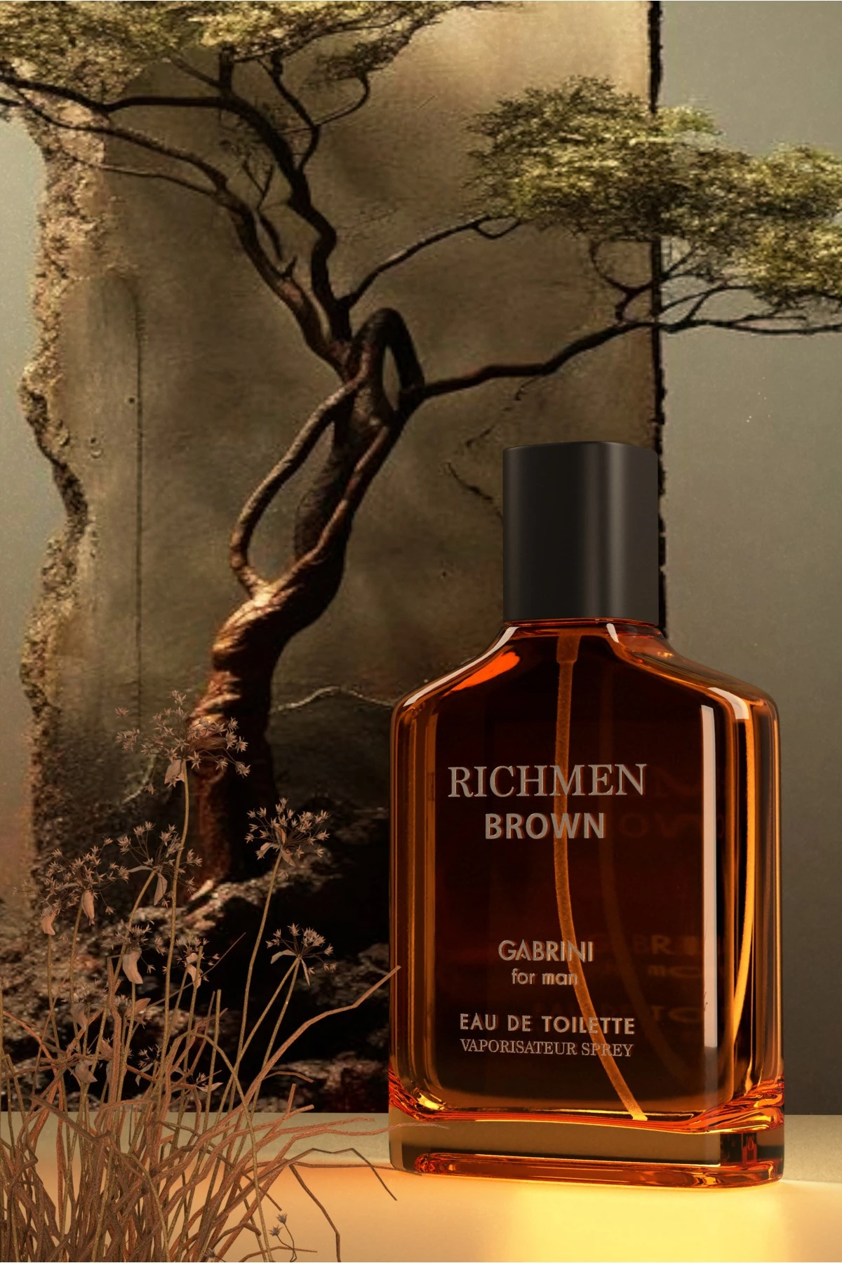 Gabrini Richmen Brown EDT For Man 100 ml