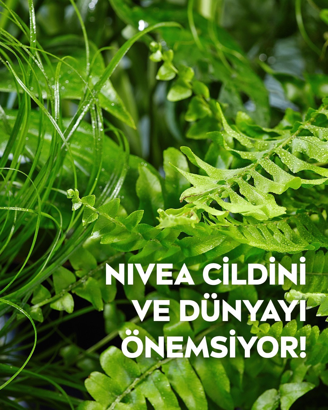 NIVEA 3'ü1 Arada Canlandırıcı Makyaj Temizleme Mendilleri (25Adet),Normal ve Karma Ciltler,Yüz ve Gö