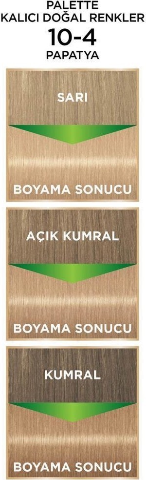 Palette Kalıcı Doğal Renkler 10-4 Papatya Saç Boyası