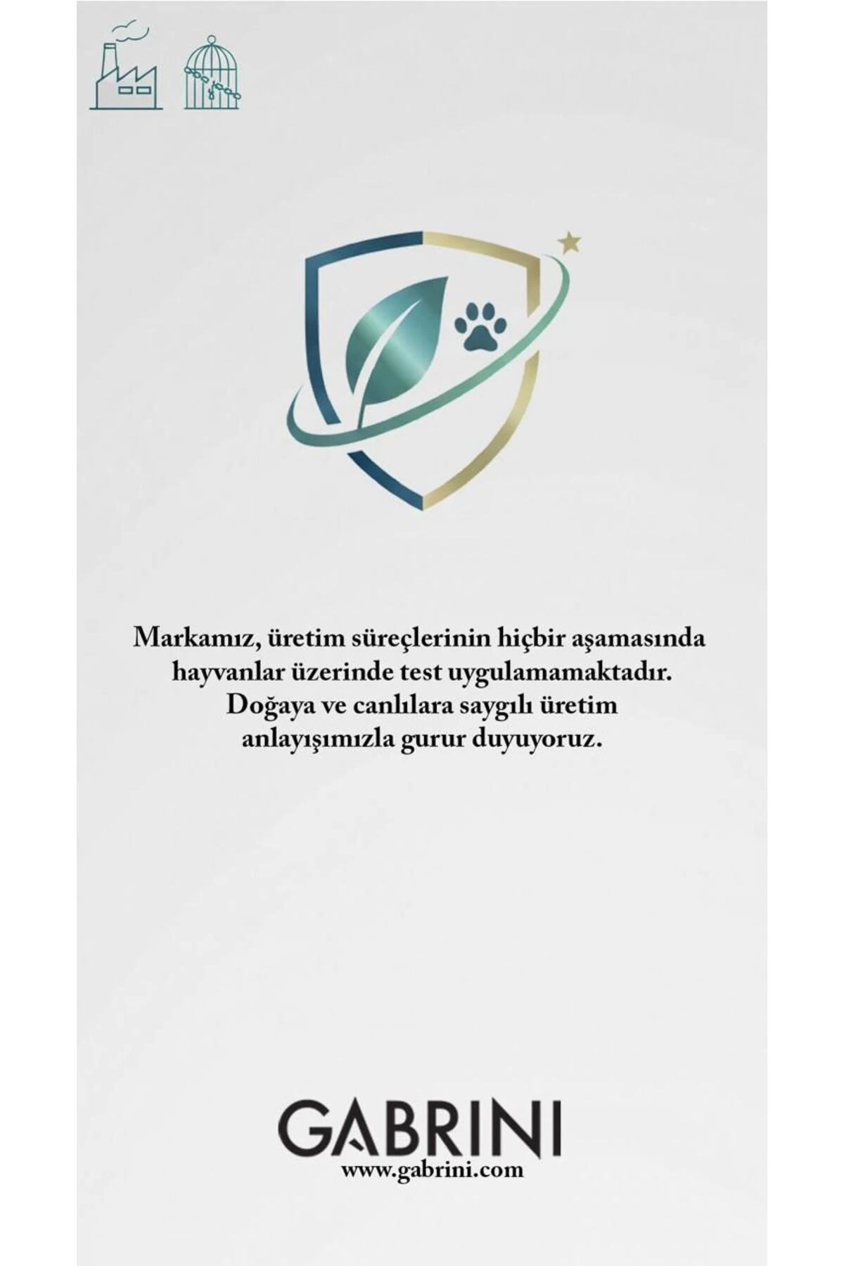 Gabrini Richmen Brown EDT For Man 100 ml