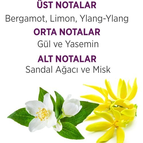 Bellissima EDT Kadın Parfüm 60 ml & 150 ml Deodorant